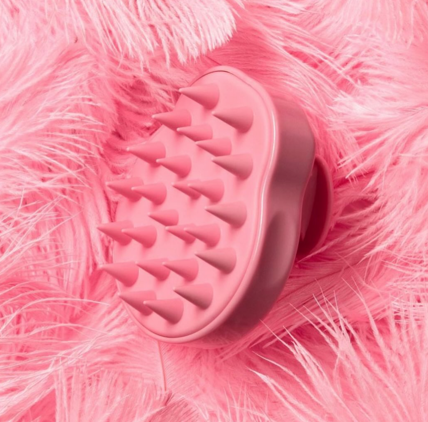 CALA Scalp Massaging Shampoo Shower Hair Brush: Pink