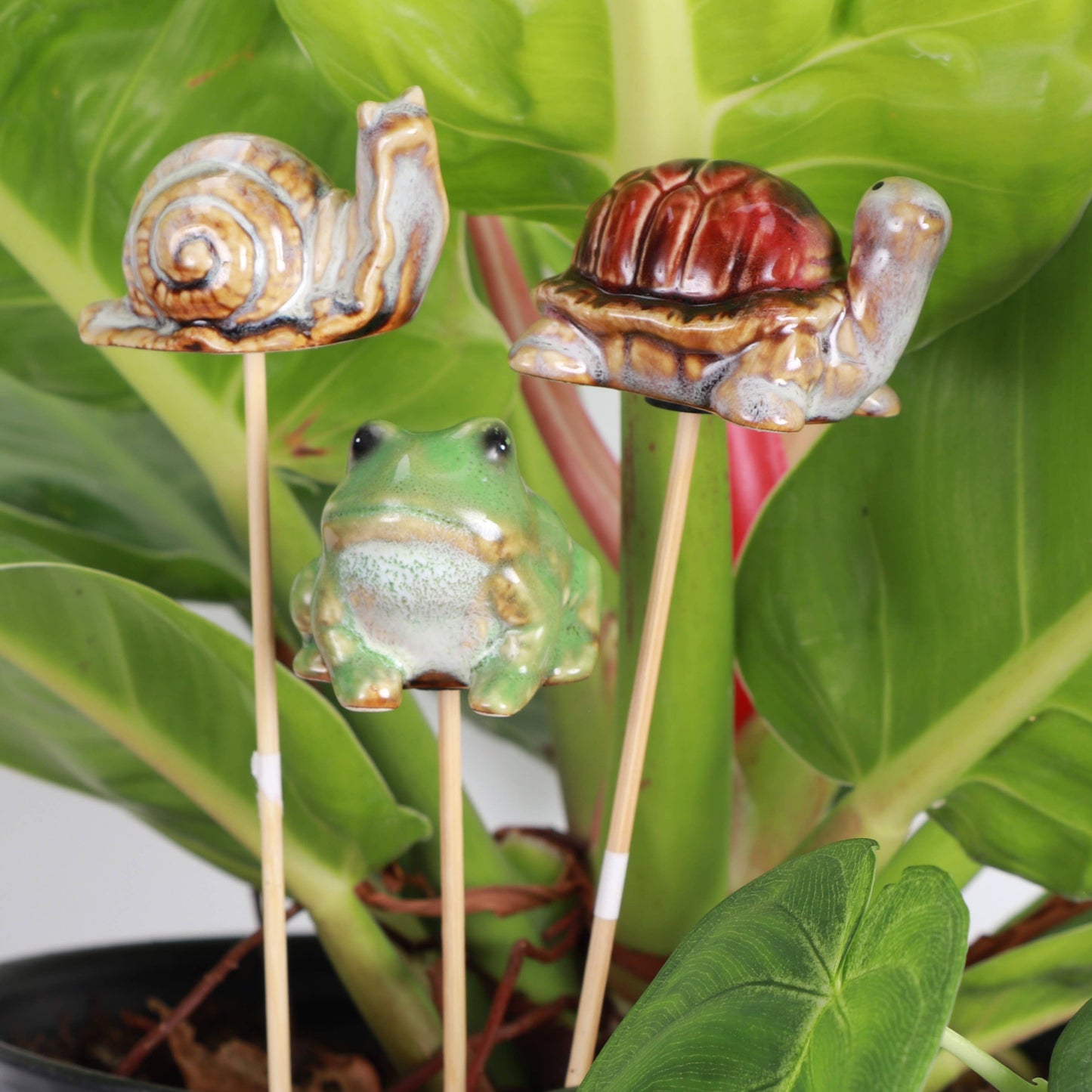 Pottery Plant Pick - 9" Height: Turtle